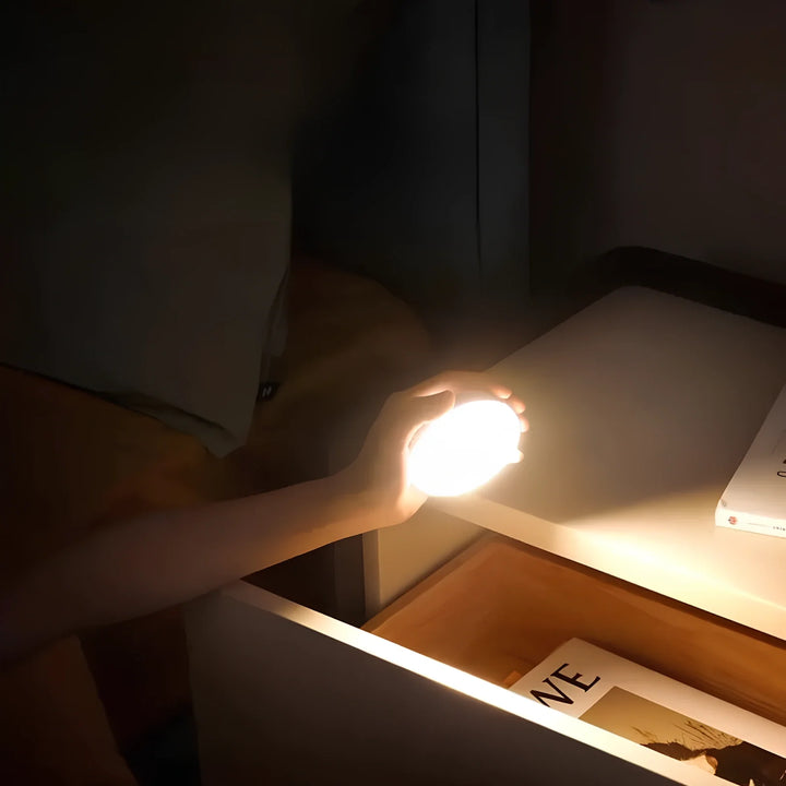 Habiq™ | Motion Light
